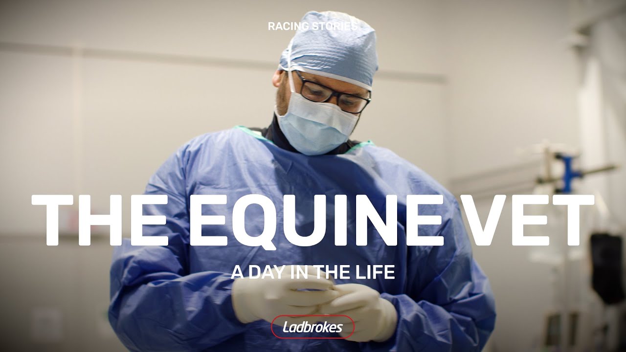 A Day In The Life Of Equine Vet Stuart Vallance