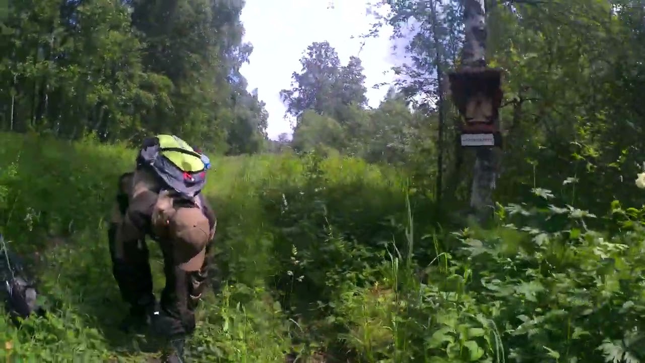 Скаут Сафари 3 Bigfoot. Верхом на рыжем друге на плантации иван-чая или летние покатушки