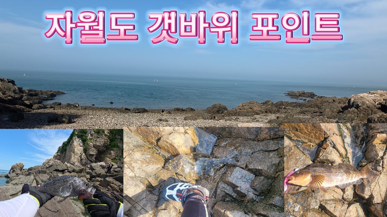 자월도 우럭 광어 놀래미 낚시 포인트