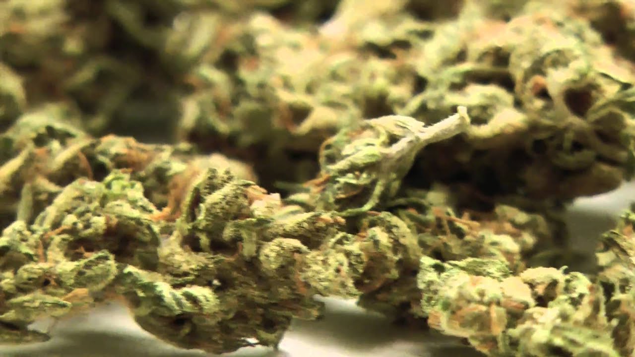 Casey Jones Macro Shots #2