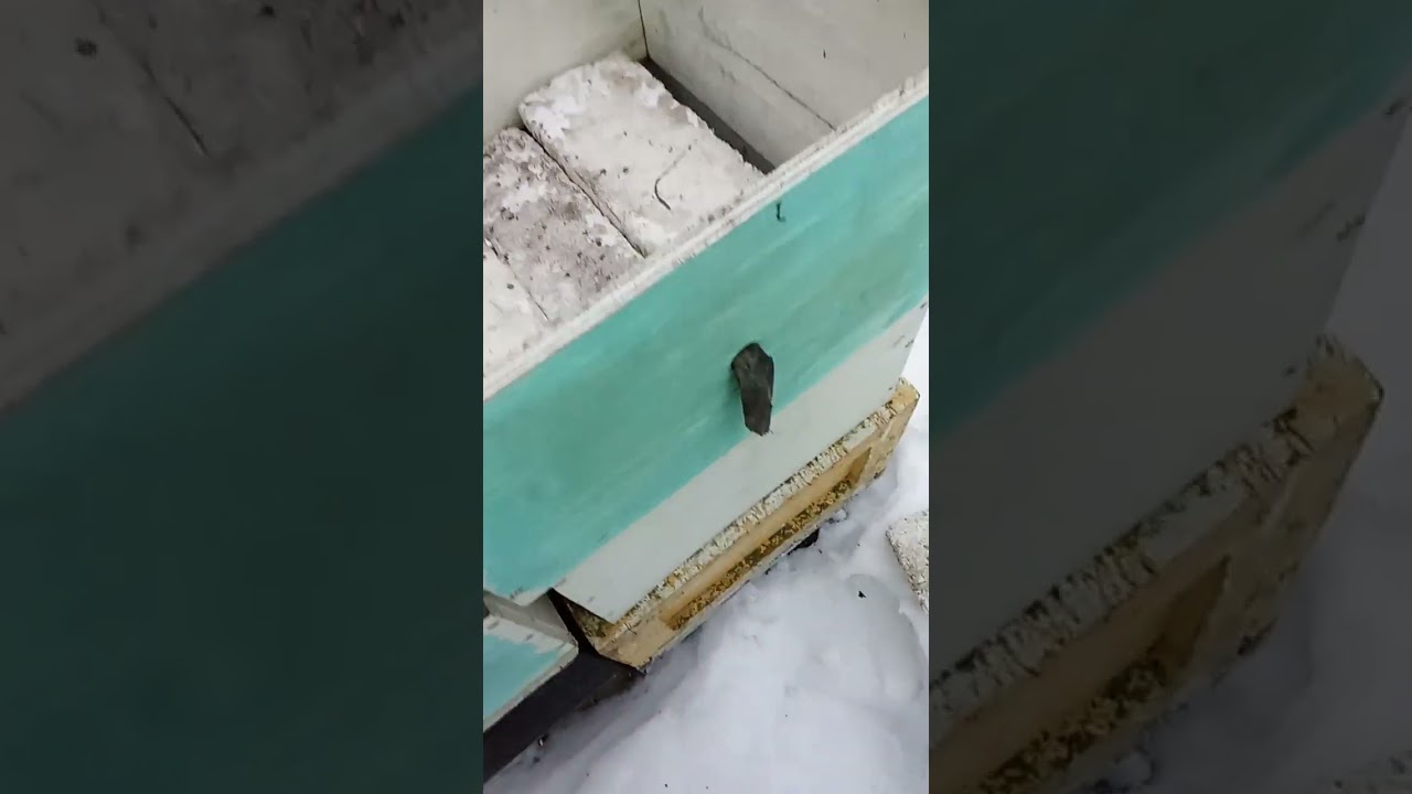ПОСЛЕ (--20)= ОТЕПЕЛЬ И ВЕНТИЛЯЦИЯ.