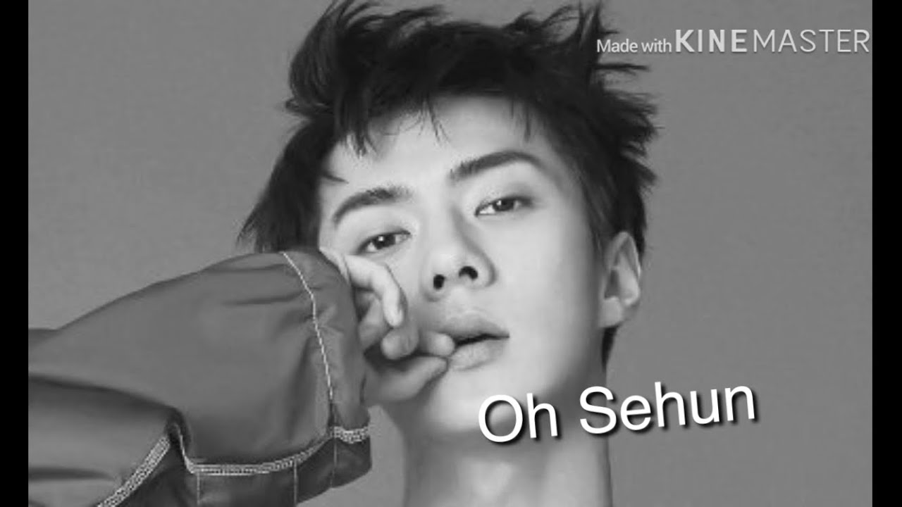 Exo Sehun- Beast