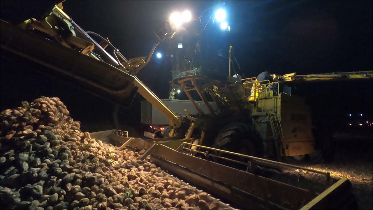 Odbiór buraków 2021