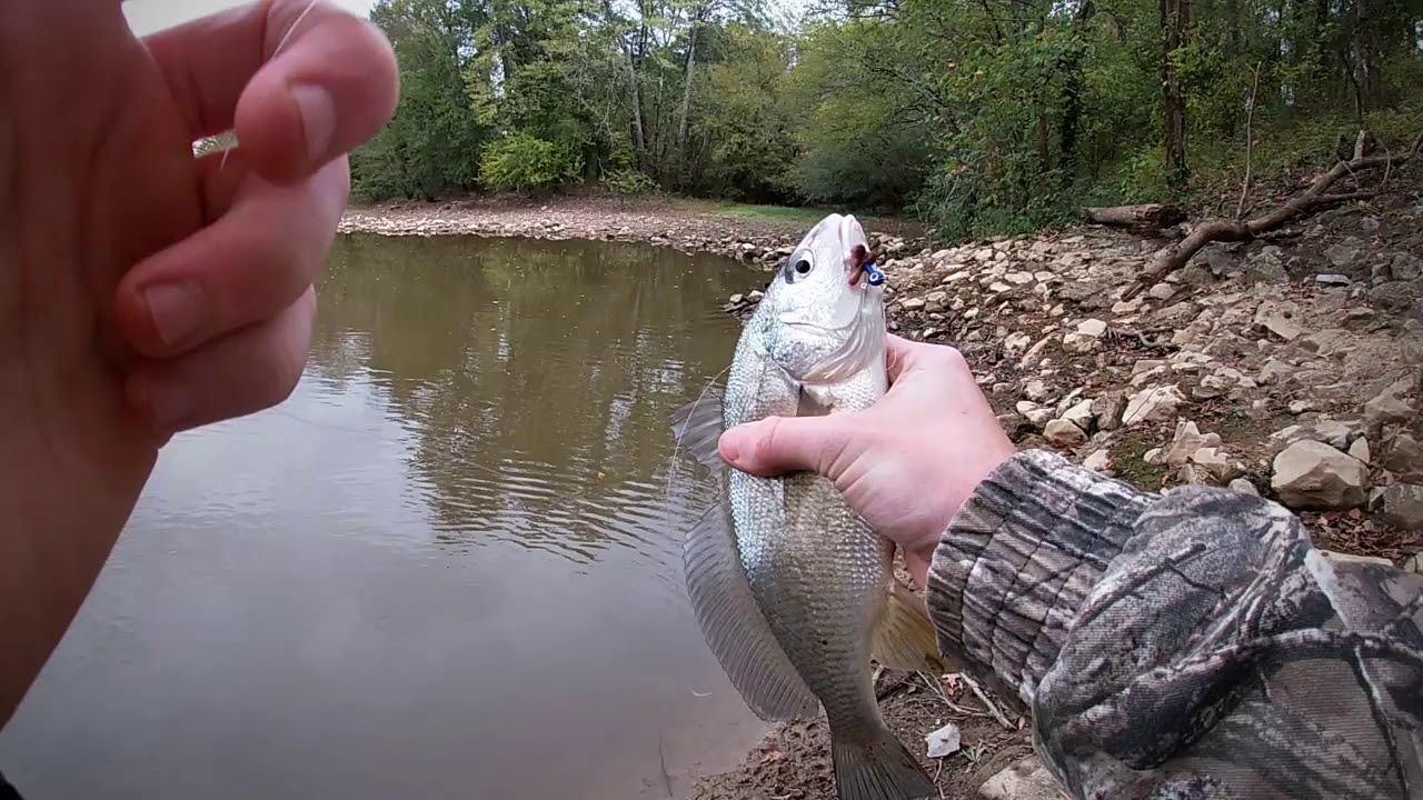 Fishing the big sandy river in the fall unexpected fish caught