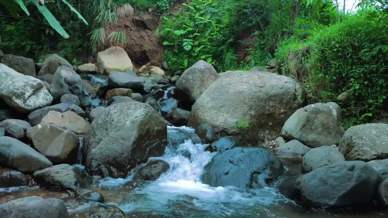 Forest Waterfall and River Sounds 🌿 Peaceful Nature Ambience for Deep Relaxation