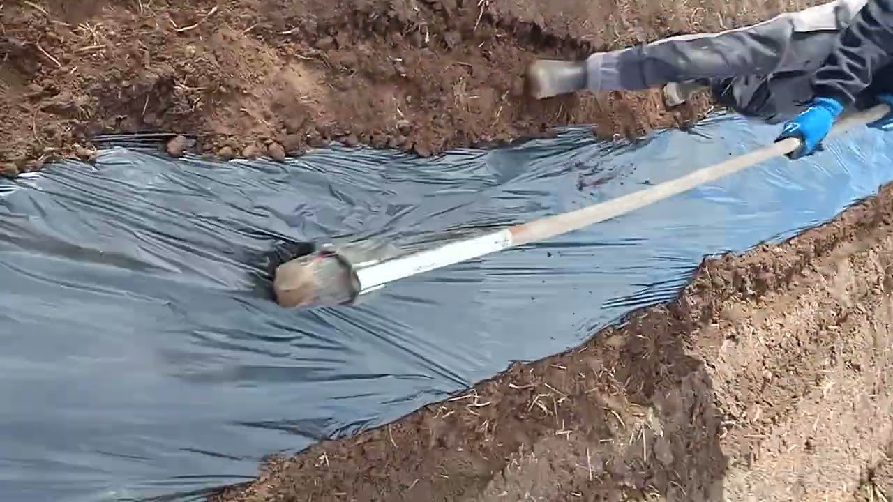 Préparation du terrain pour les cucus