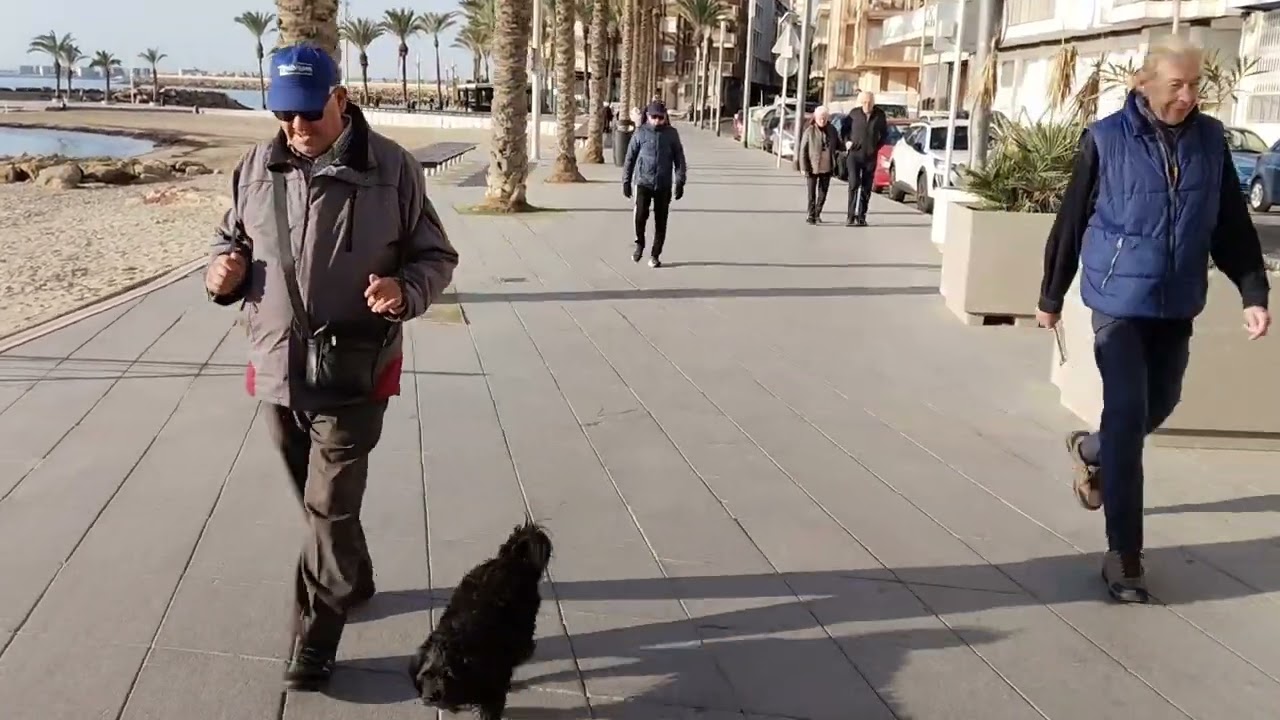 Paseo Vista Alegre Torrevieja diciembre 2024