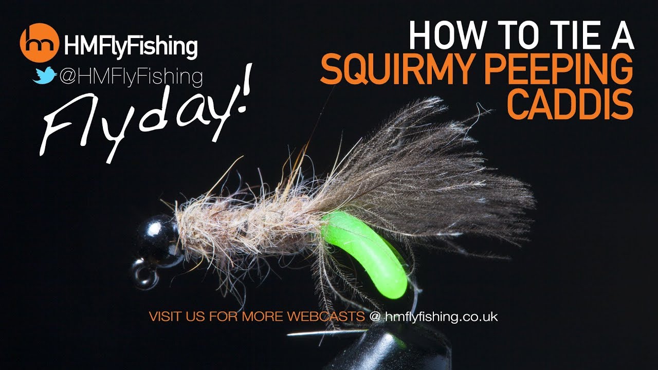 Squirmy peeping caddis - Flyday