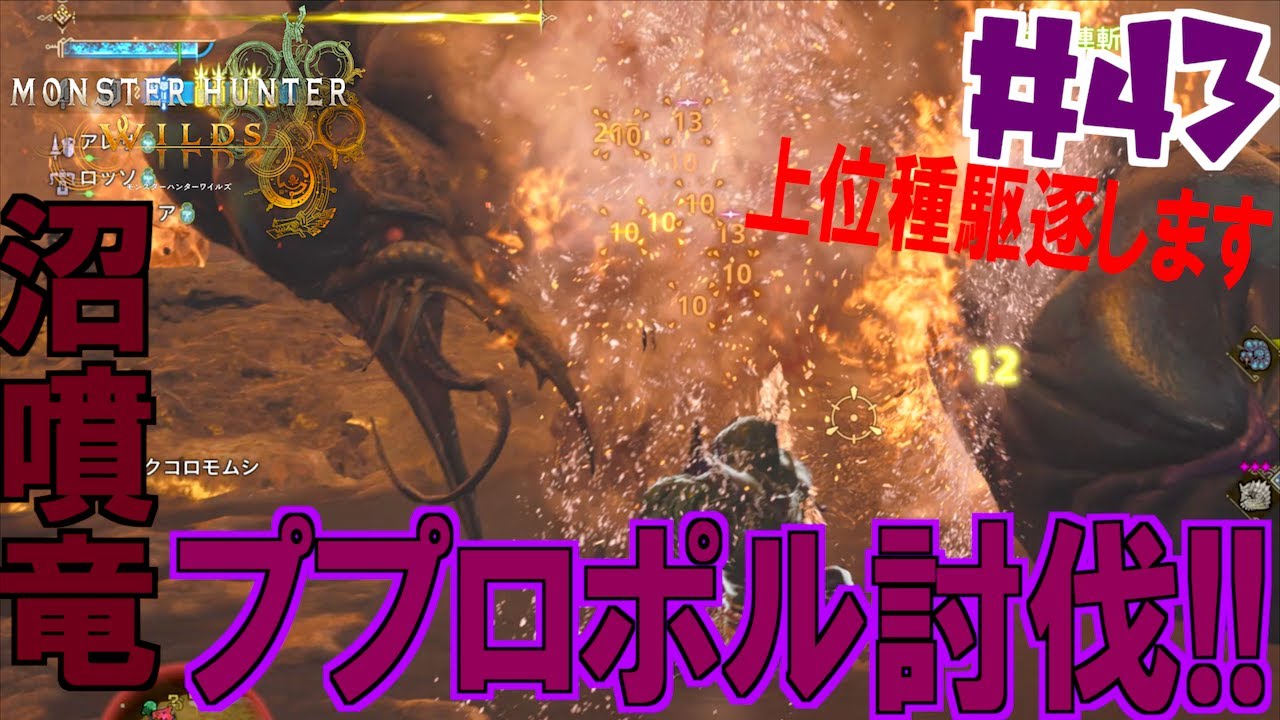 上位 沼噴竜 ププロポル討伐！！！繁殖しすぎも困るので間引きます ＃４３【モンスターハンターワイルズ】【MHWs】