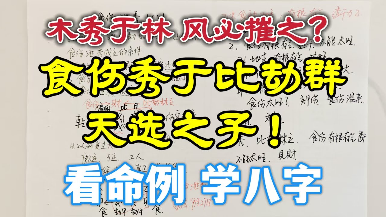 "木秀于林 风必摧之"？记住食伤秀于比劫群，天选之子！换句话说：身旺比劫林立，有食伤一个，人生巨福！