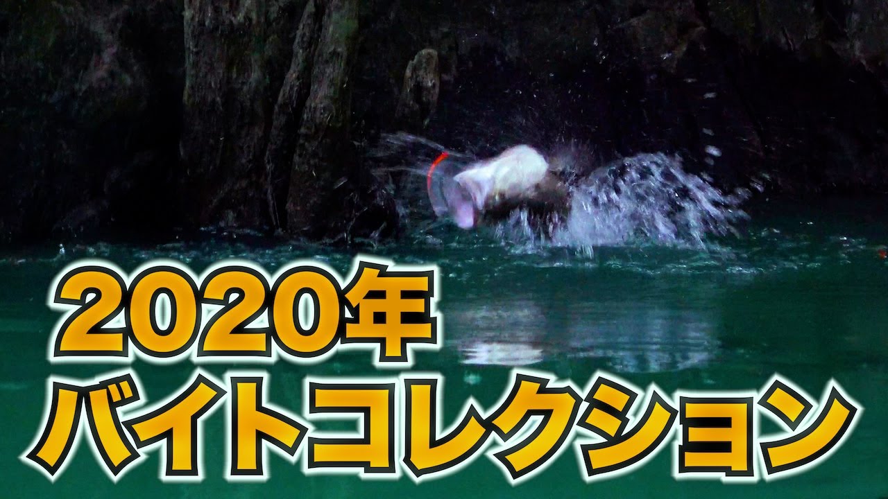 【Chest114】2020年トップウォーターバイトコレクション
