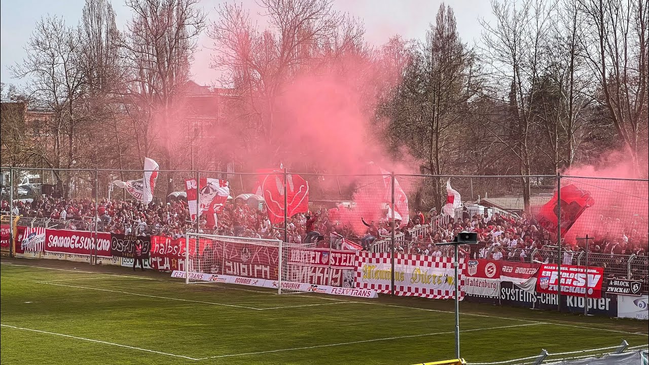 10.03.2024 | Chemie Leipzig - FSV Zwickau | Regionalliga Nordost