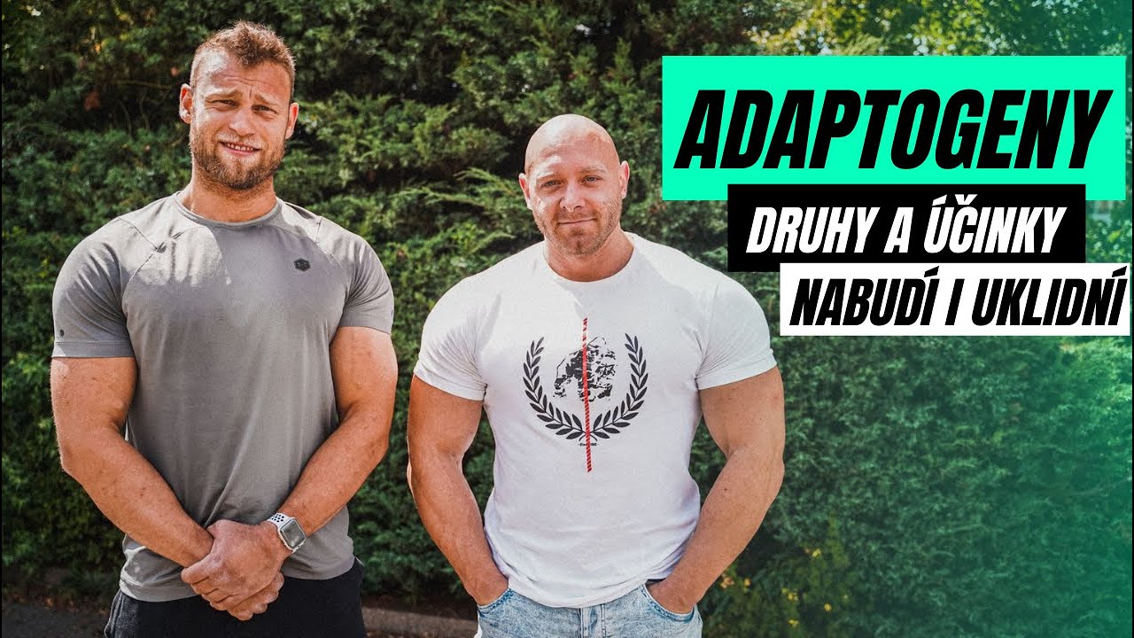 ADAPTOGENY | Nejznámější a nejsilnější adaptogeny. Stresové situace v životě. Koncetrace.