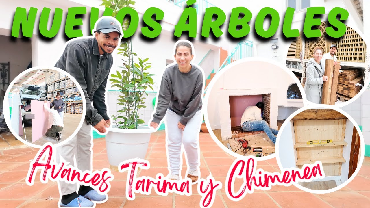 NUEVOS Arboles para EL  PATIO 🌱 | ASÍ VA LA OBRA DE LA SALA  y la CHIMENEA