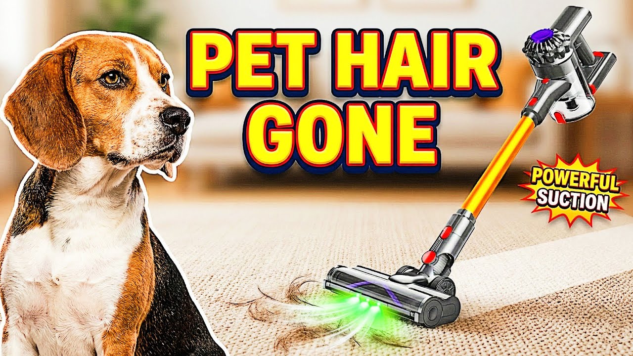Dog Hair Everywhere This Vacuum FIXED IT 🐕✨
