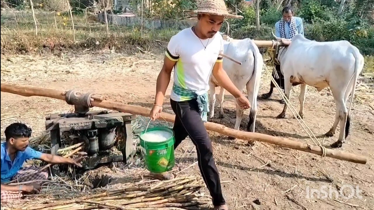 Akhu ru guda ll full process ll village style ll odia video ll