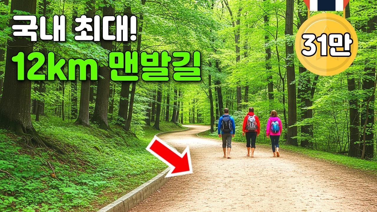 🚆단 90분만에 도착! 한번은 꼭 가봐야할 국내 트레킹 여행 코스, 걷기 진짜 좋네요!