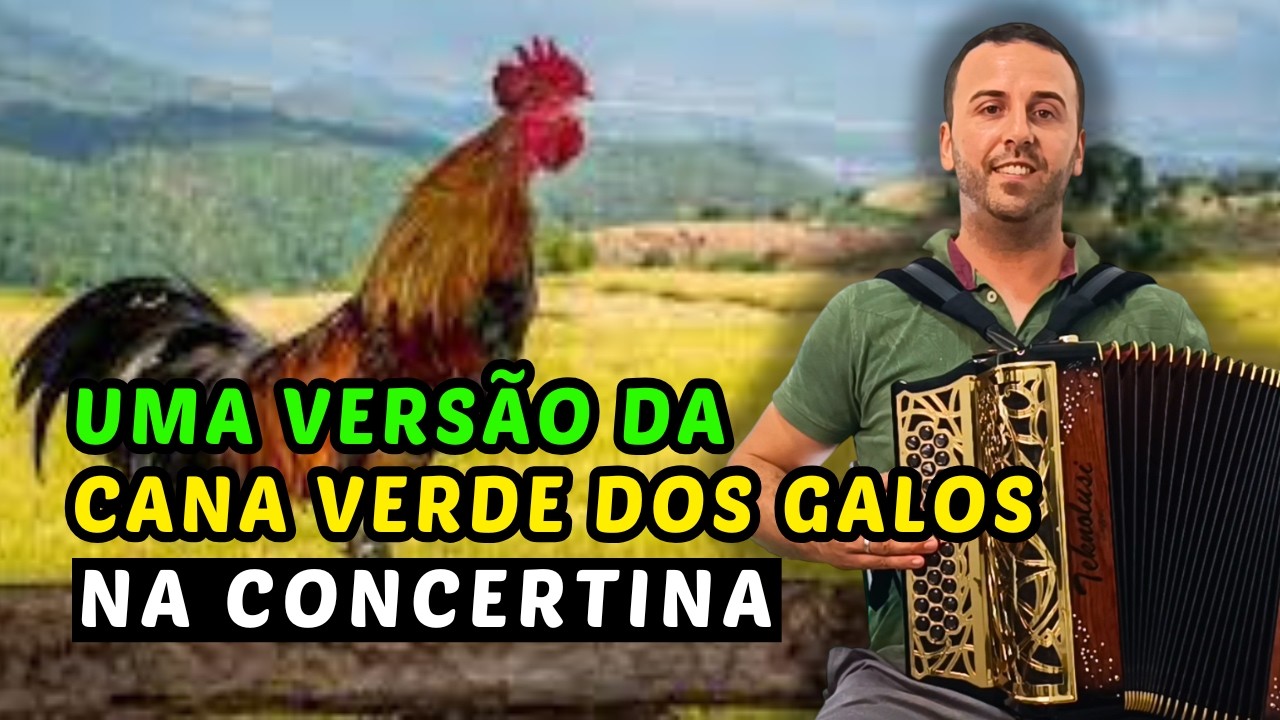 🎶 Cana Verde dos Galos [1ª Versão] na Concertina 🪗 [Música Tradicional Portuguesa]