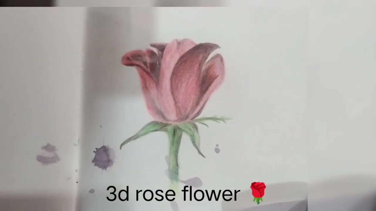 3d rose 🌹 drawing #easy techniques #red rose drawing #trend short