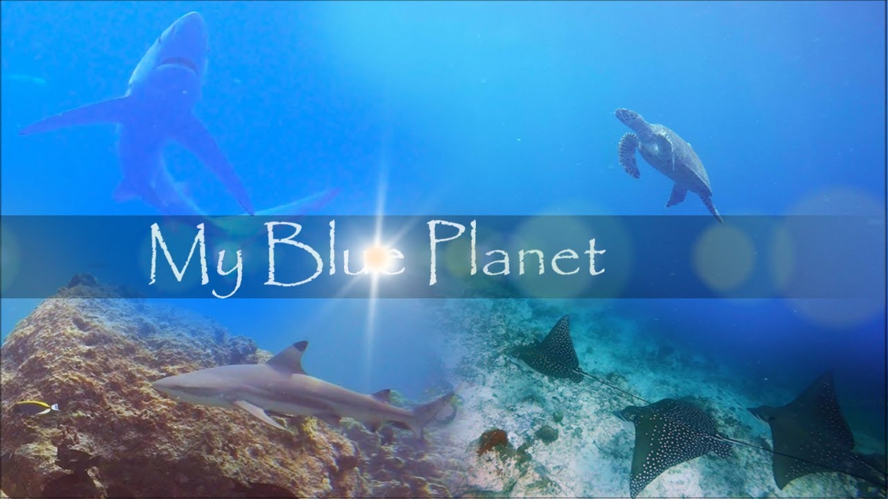 My Blue Planet, Blue Planet II theme song