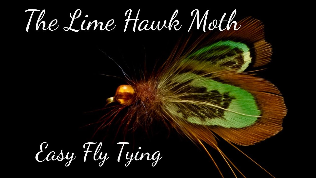 Lime Hawk Moth - Easy Fly Tying - Let's Catch that Trout