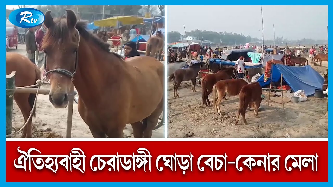 দিনাজপুরে জমে উঠেছে, ঐতিহ্যবাহী চেরাডাঙ্গী ঘোড়া বেচা-কেনার মেলা | Rtv News