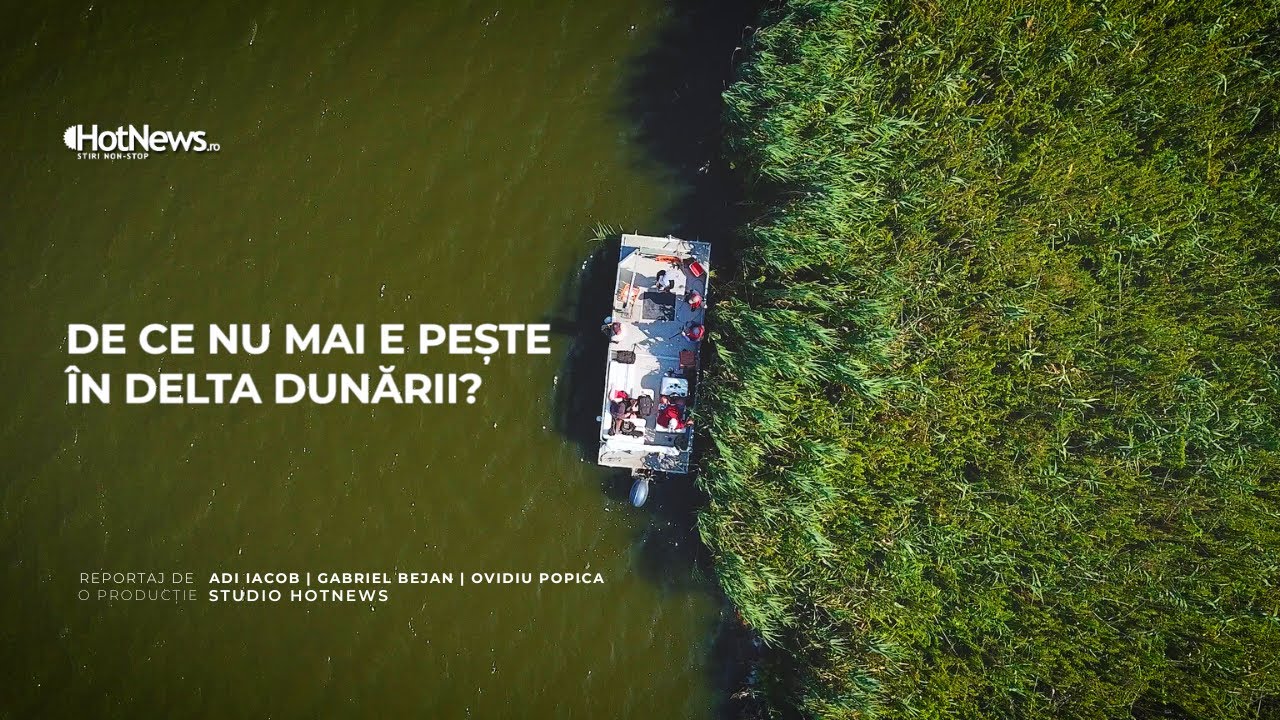 De ce nu mai e pește în Delta Dunării?