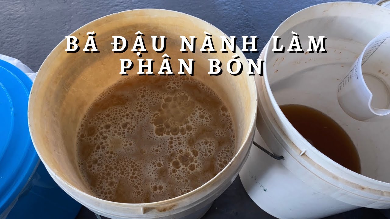 Xử Lý Bã Đậu Nành Dùng Men Vi Sinh Toan Trinh