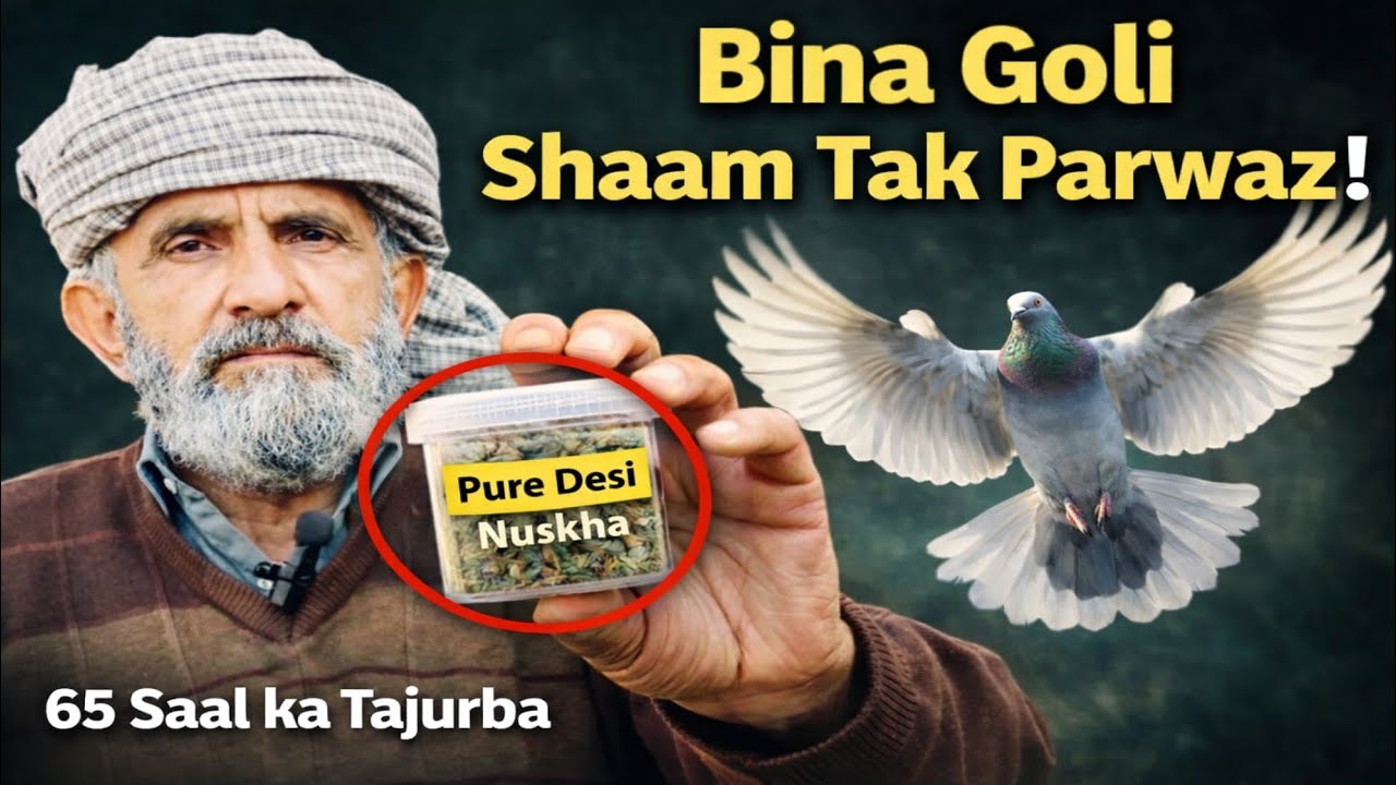 65 Saal ke Tajurbe ka Nayaab Desi Nuskha | Bina Goli 50° mein Shaam Tak Parwaz