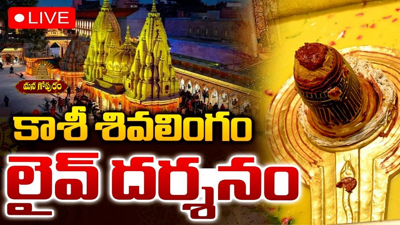 🔴LIVE : మంగళవారం కాశీ శివలింగం దర్శనం |Kashi Shivalingam Darshanam | Kashi Vishwanath Temple