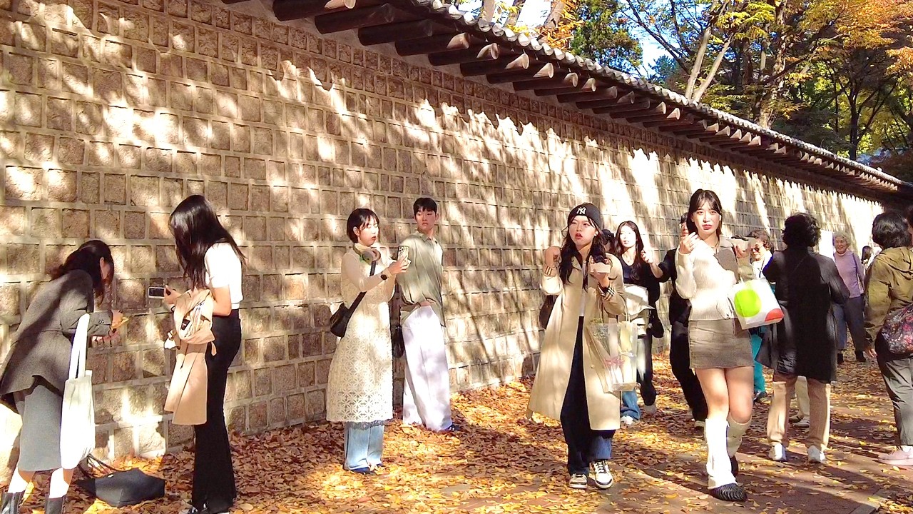 Seoul’s Most Romantic Autumn Street: Deoksugung Stone Wall Road in Fall Colors - Korean Street Walk