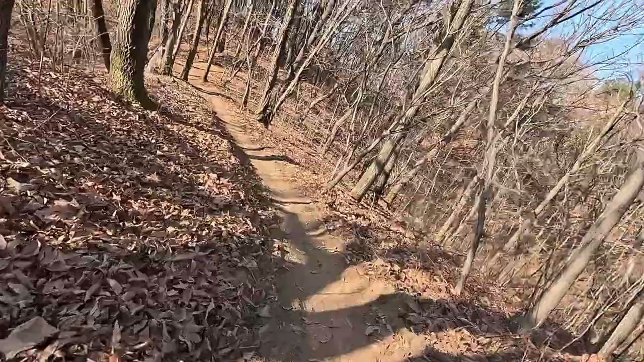 02/07 장군산 