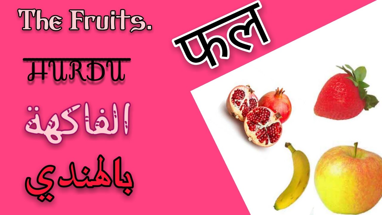 الفاكهة باللغة الهندية || the fruits in hindi ||පින්තූර සමඟ හින්දි ඉගැන්වීම||Hintçe dil eğitimi