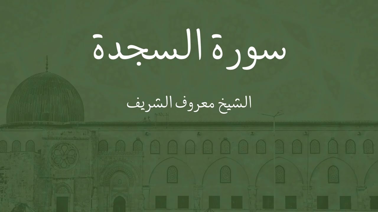 سورة السجدة - الشيخ معروف محمد رشاد الشريف