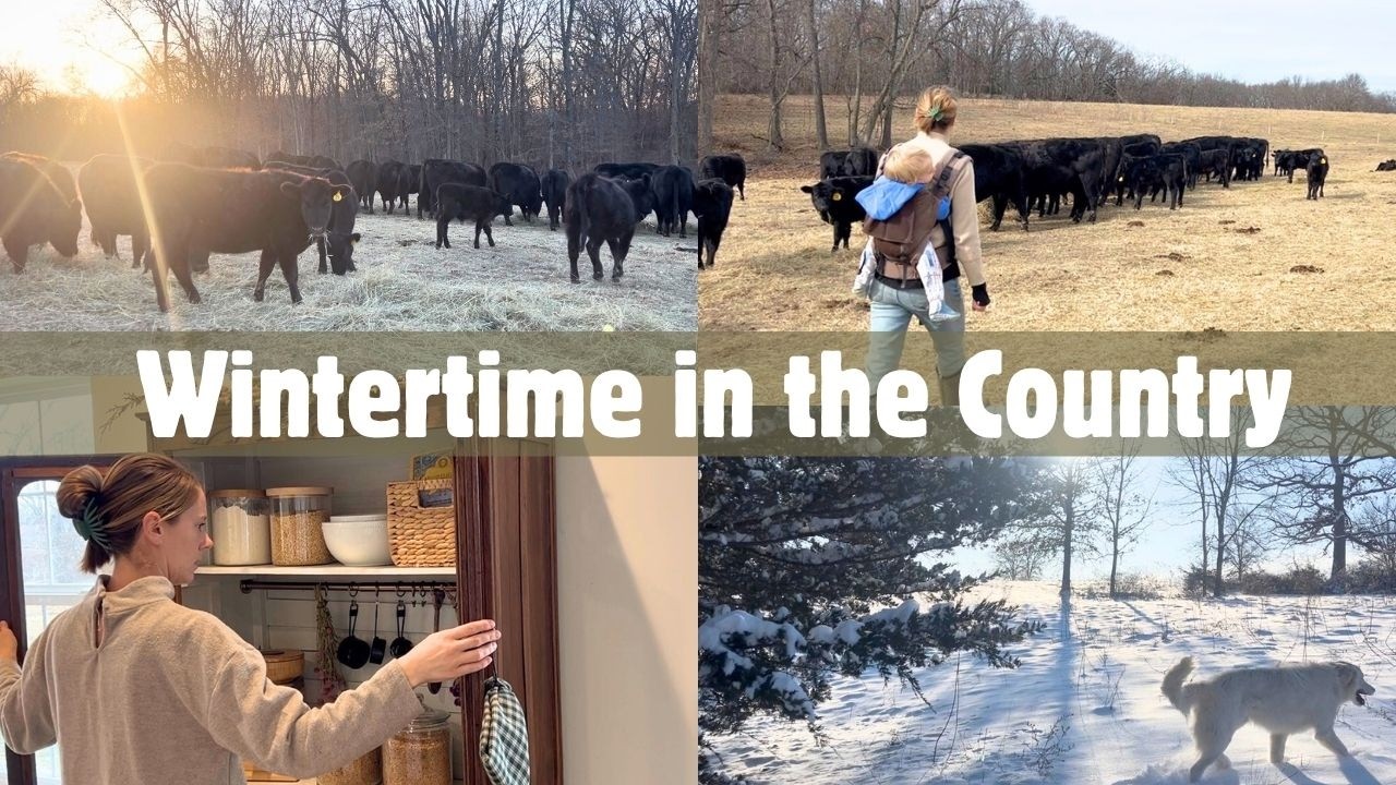 Weather man says COLD + SNOW is on the way!