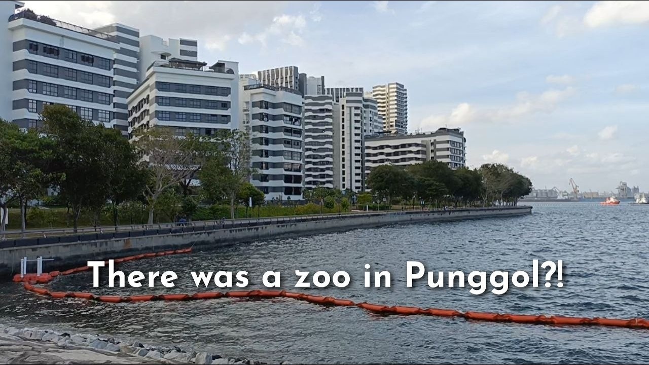 I visited Singapore's First Zoo🦁🐯🦒🦓🐘...and it was in Punggol?!