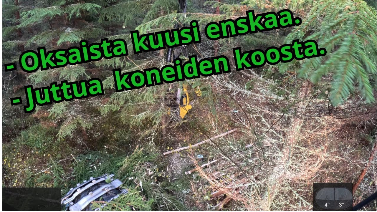 Kuusikon ensiharvennusta. Aika huono näkyvyys oksia niin paljon. VR120 Ponsse Scorpion K H7 AC FC