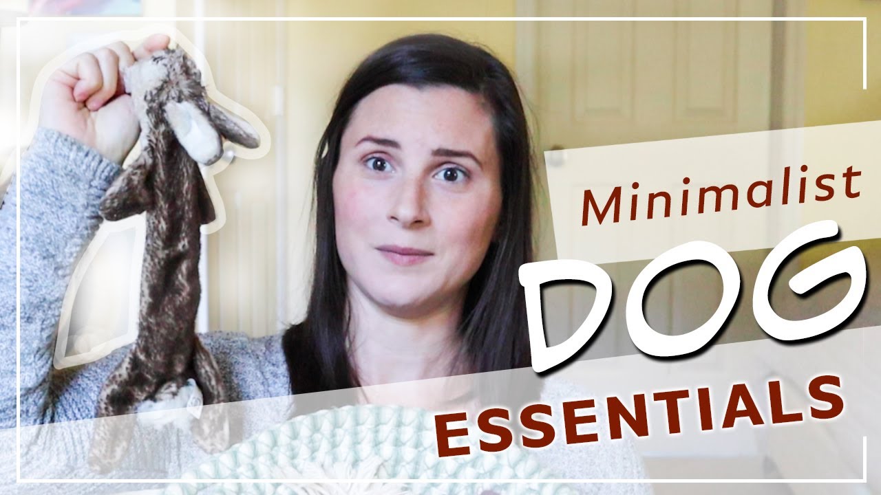Minimalist Dog Essentials