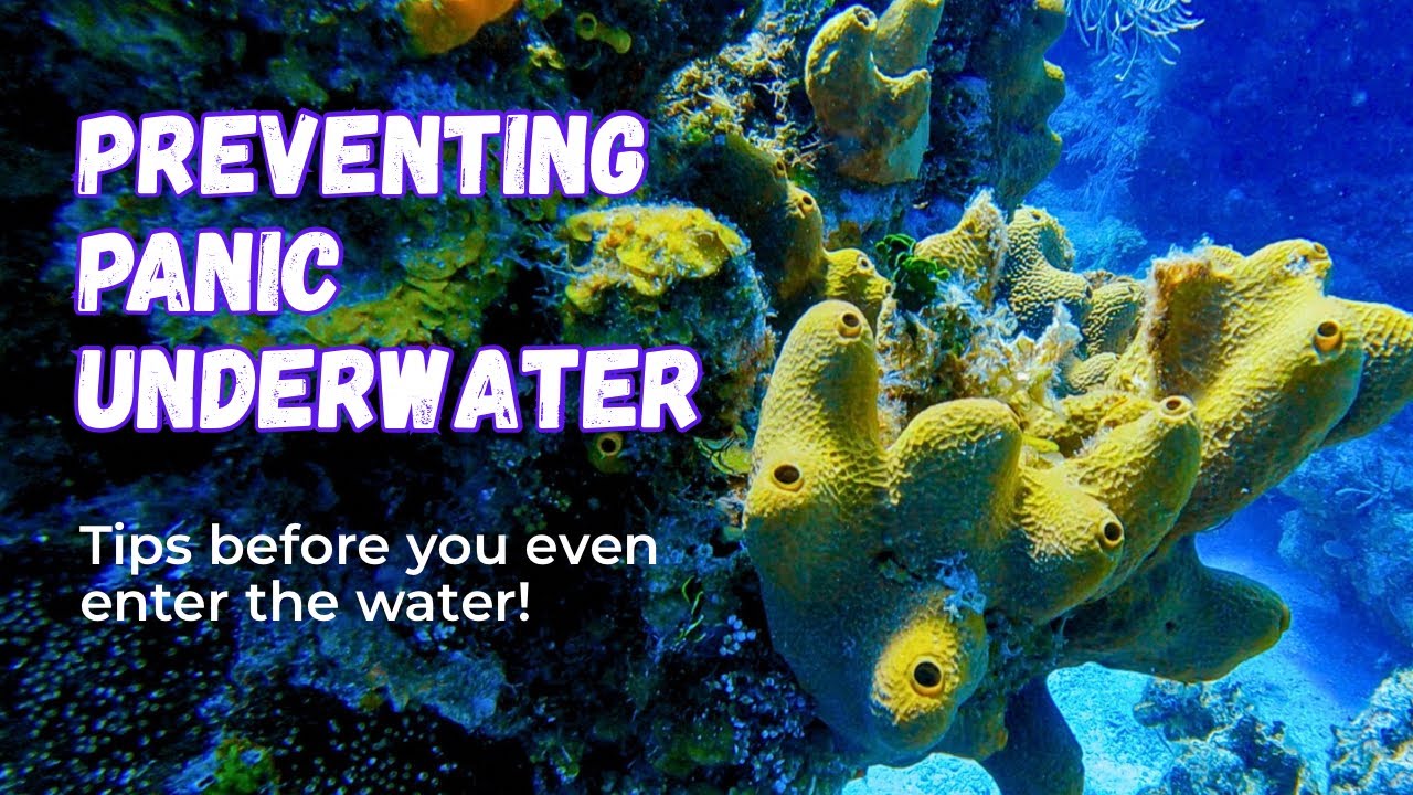 Diving with Anxiety | Tips for Staying Calm & Confident at Depth!