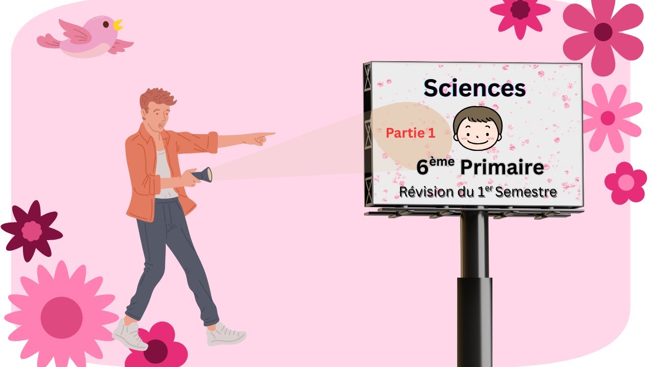 Révision complète de sciences – 6ème primaire | 1er semestre (Écoles françaises) - Partie 1