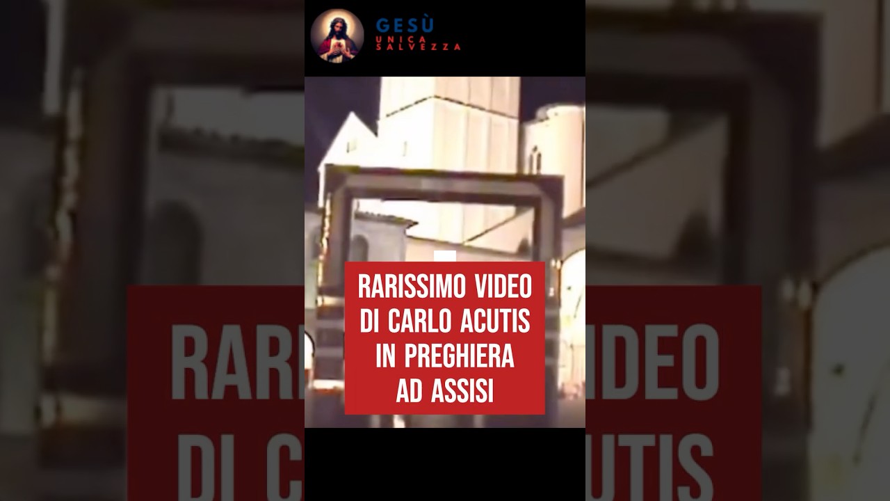 Rarissimo video di Carlo Acutis in preghiera ad Assisi #carloacutis #sancarloacutis