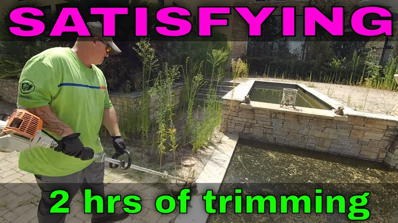 Overgrown trimming and edging RAW footage - SATISFYING