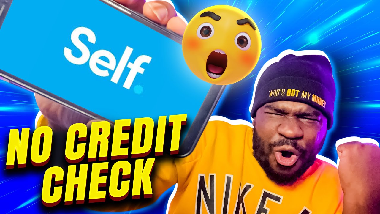 How Does Self Lender Work? - The Ultimate Guide