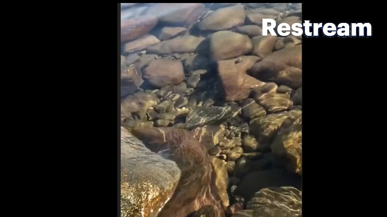 Sea Sounds Stress Relief 💖