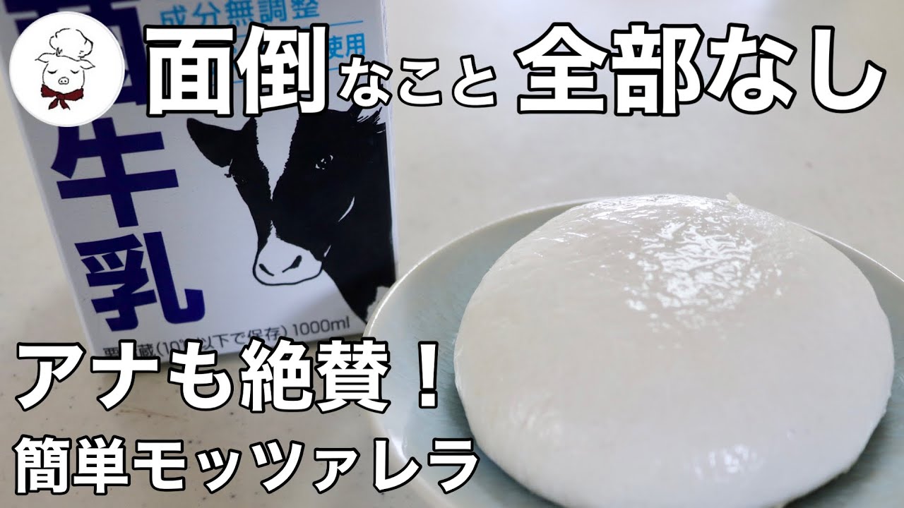 なんと！フジテレビで紹介されました【簡単モッツァレラ】低温殺菌牛乳で作る自家製モッツァレラチーズの作り方