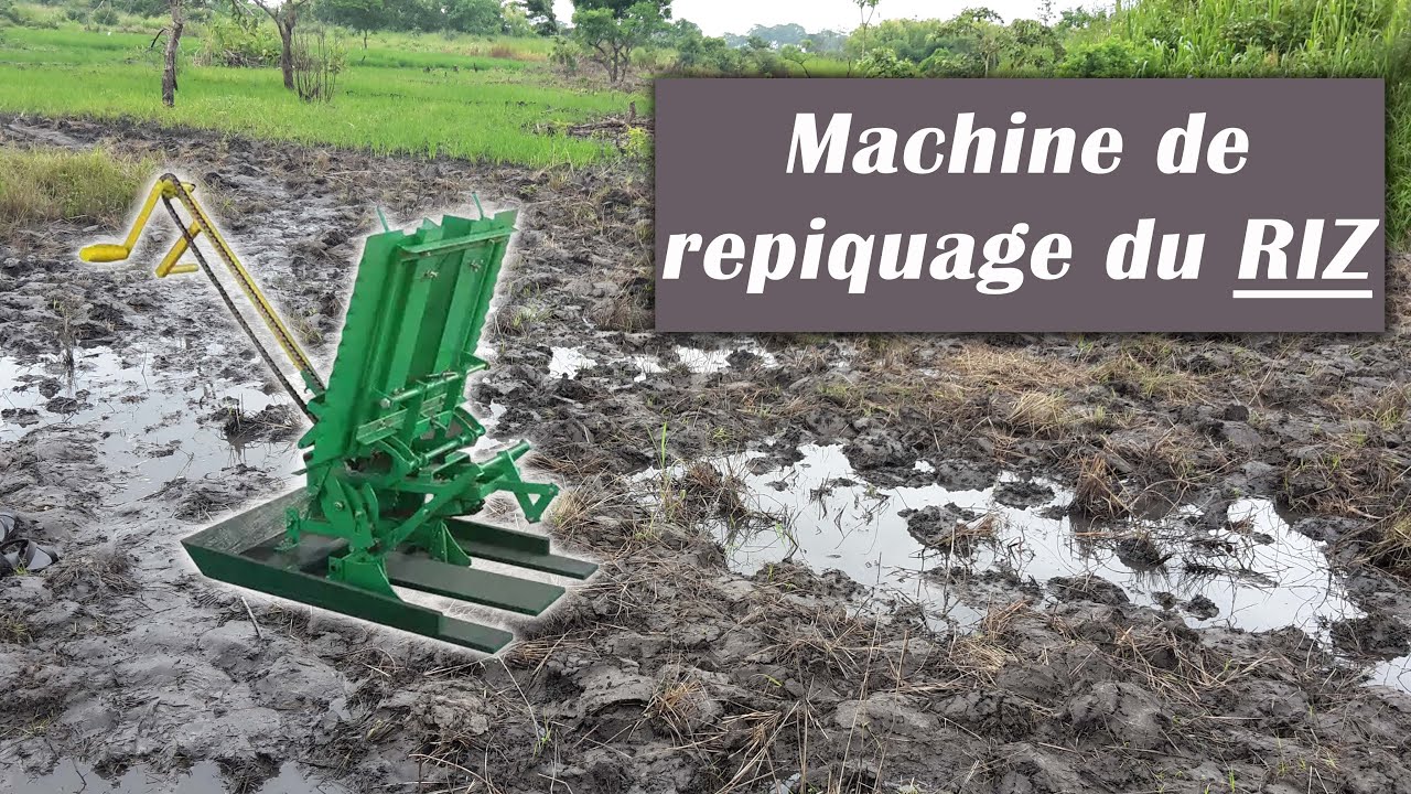 CULTURE DU RIZ: Mat&eacute;riel agricole planteur de Riz &agrave; 2 Rang&eacute;s -  Repiqueuse [Machine de Repiquage]