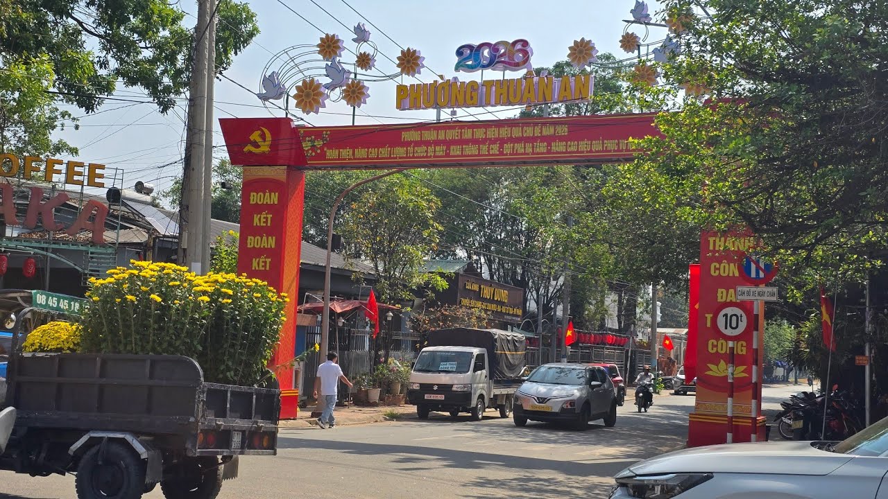 ĐƯỜNG HOA CẦU NGANG, THUẬN AN ❤️XUÂN 2026❤️