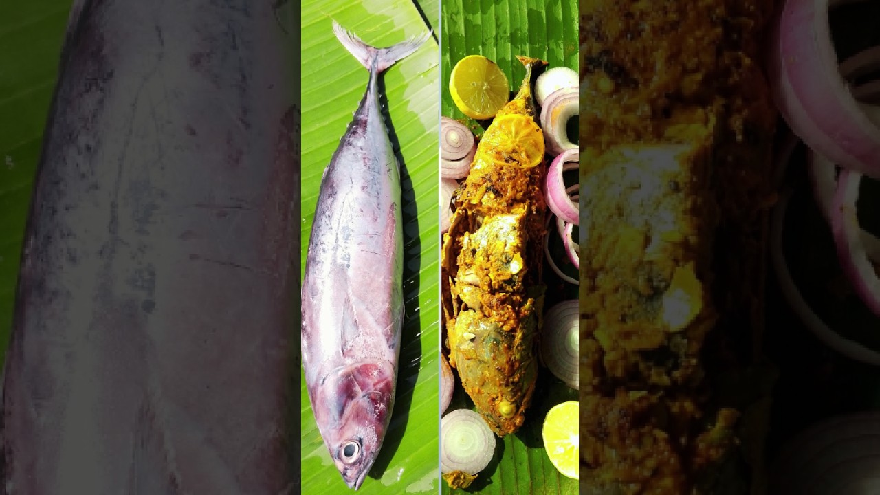 Spicy Tuna Fish Fry | Masala Fried Fish Recipe 🐟🔥#FishFry #TunaFish #SeafoodRecipe #foodshorts