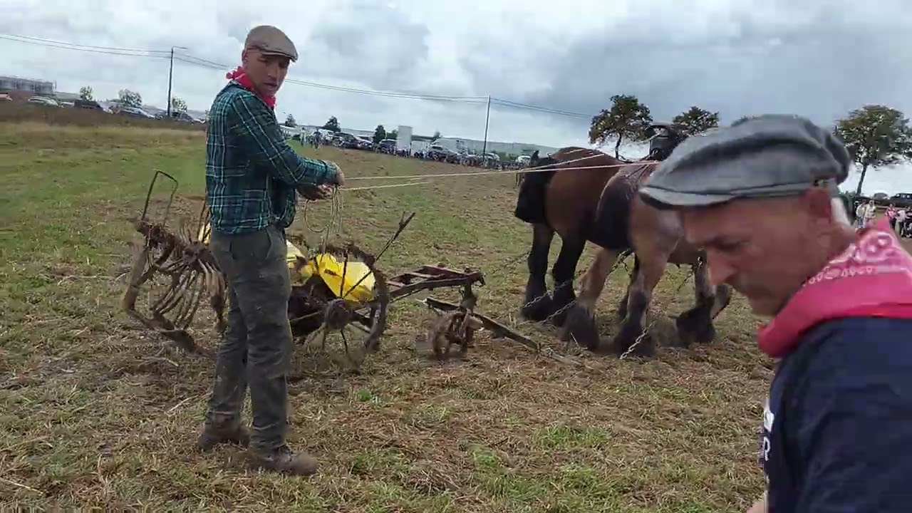 Eeuwige Paardenkracht: Sint-Juliaan in Langemark, 31/08/25  Deel 7