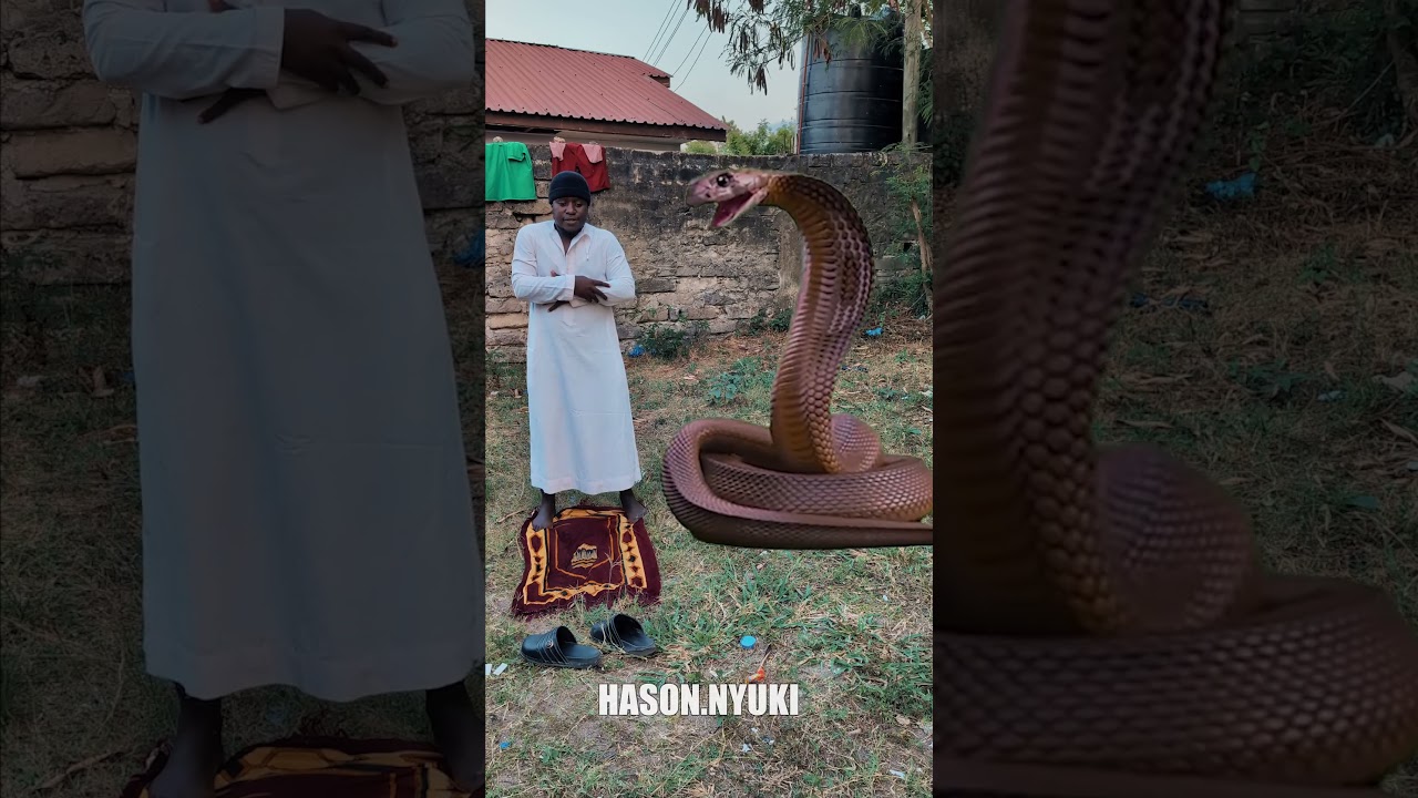 Ar Rahman Al Quran #views #viralreels #makkah #recitation #1millionviews #shorts